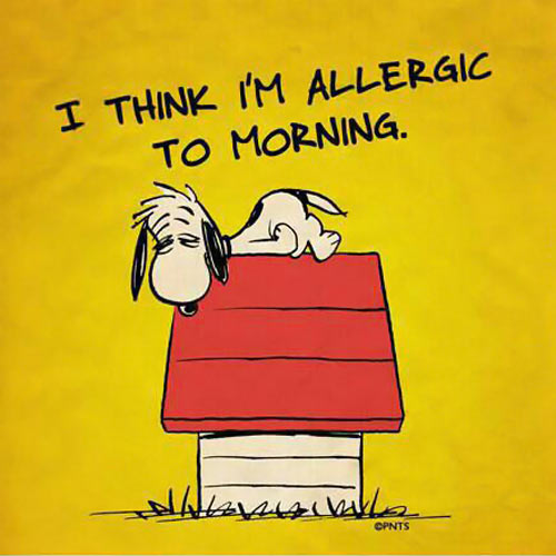 Funny Snoopy morning allergic.