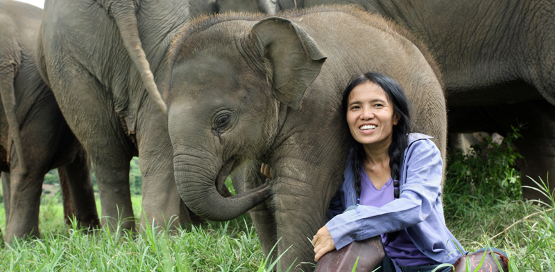 Non Tirare La Coda All'Elefante