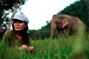 Non Tirare La Coda All'Elefante