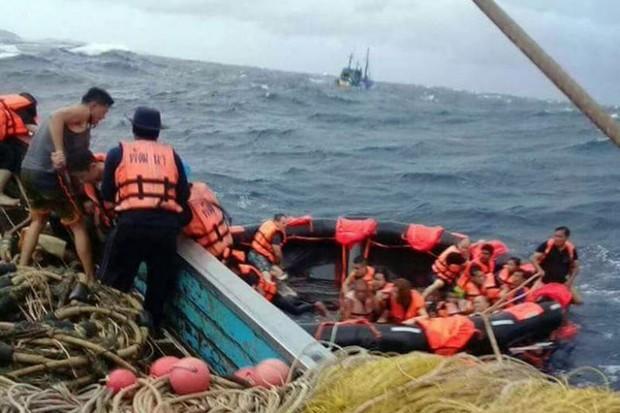 Il delfino mette i tonni nella rete