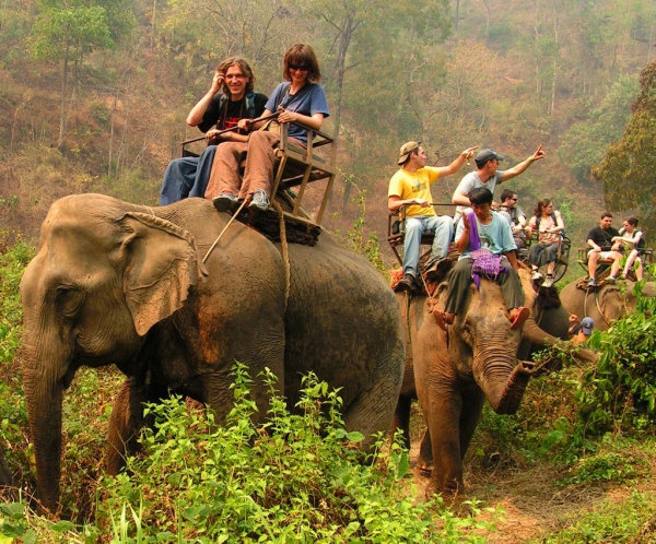 Non Tirare la Coda all'Elefante