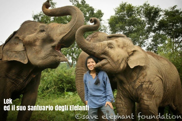 Non Tirare la Coda all'Elefante
